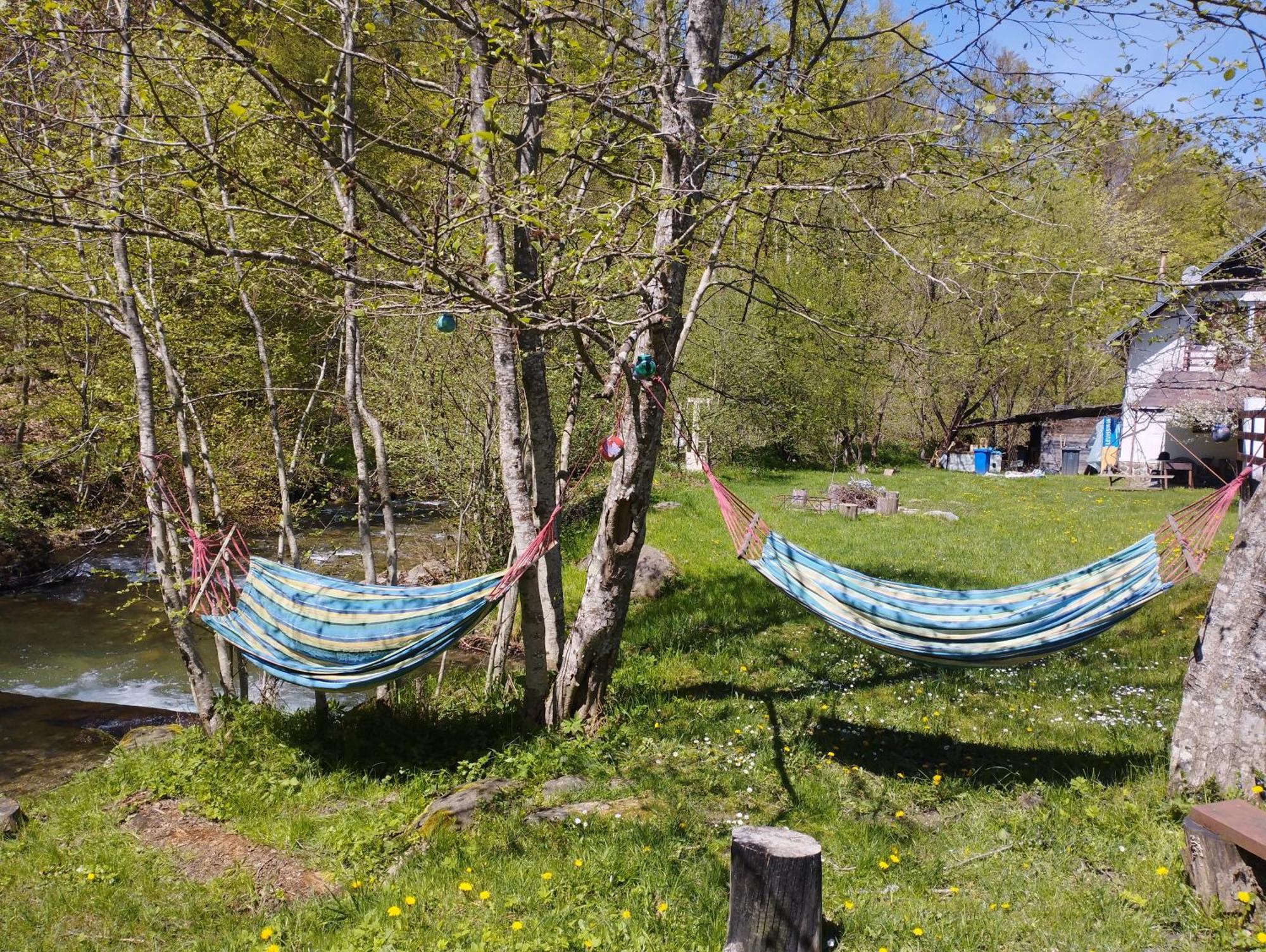 Complex Adela Transfagarasan Villa Cîrţişoara Buitenkant foto