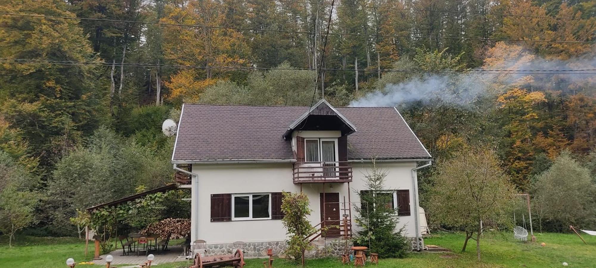 Complex Adela Transfagarasan Villa Cîrţişoara Buitenkant foto