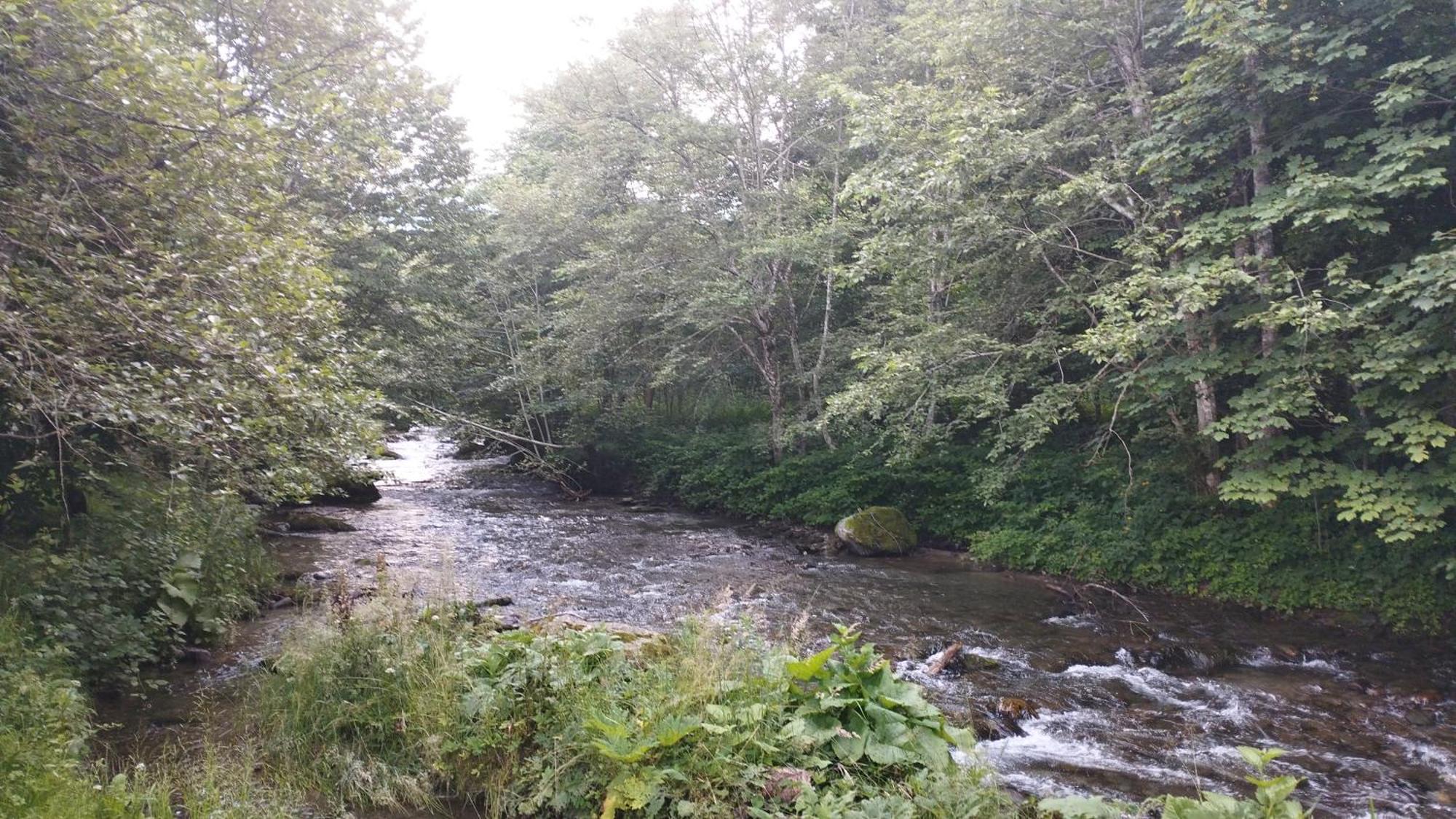 Complex Adela Transfagarasan Villa Cîrţişoara Buitenkant foto