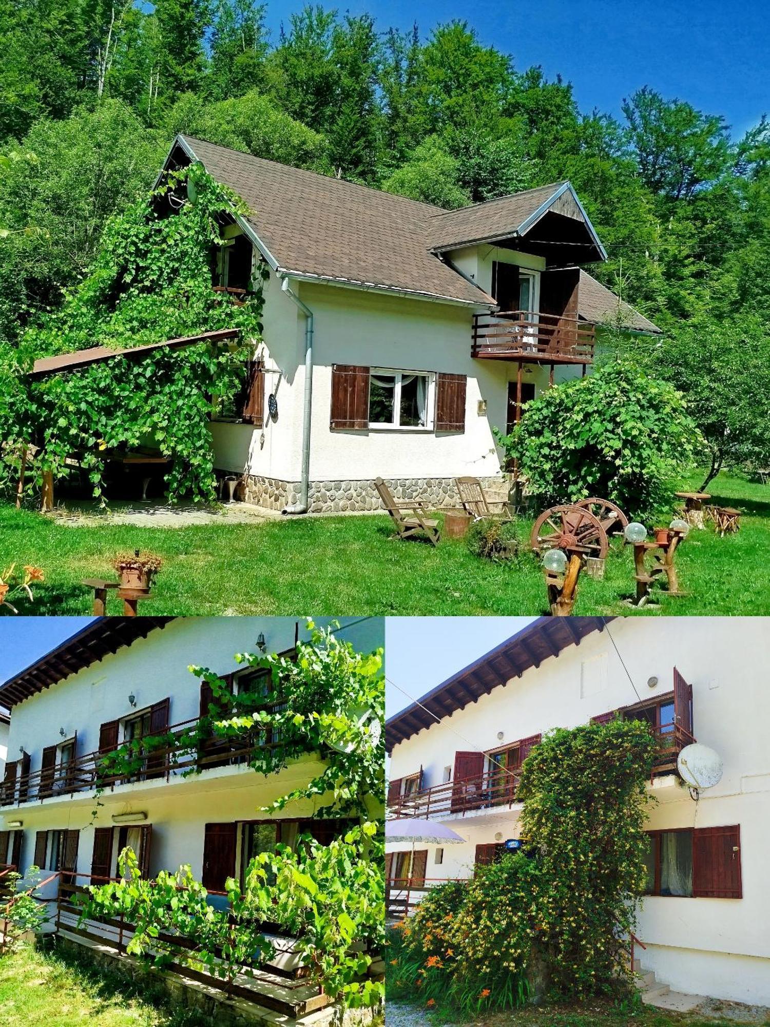 Complex Adela Transfagarasan Villa Cîrţişoara Buitenkant foto