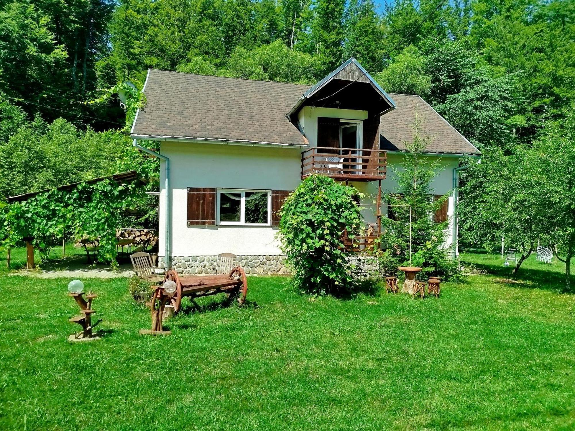 Complex Adela Transfagarasan Villa Cîrţişoara Buitenkant foto