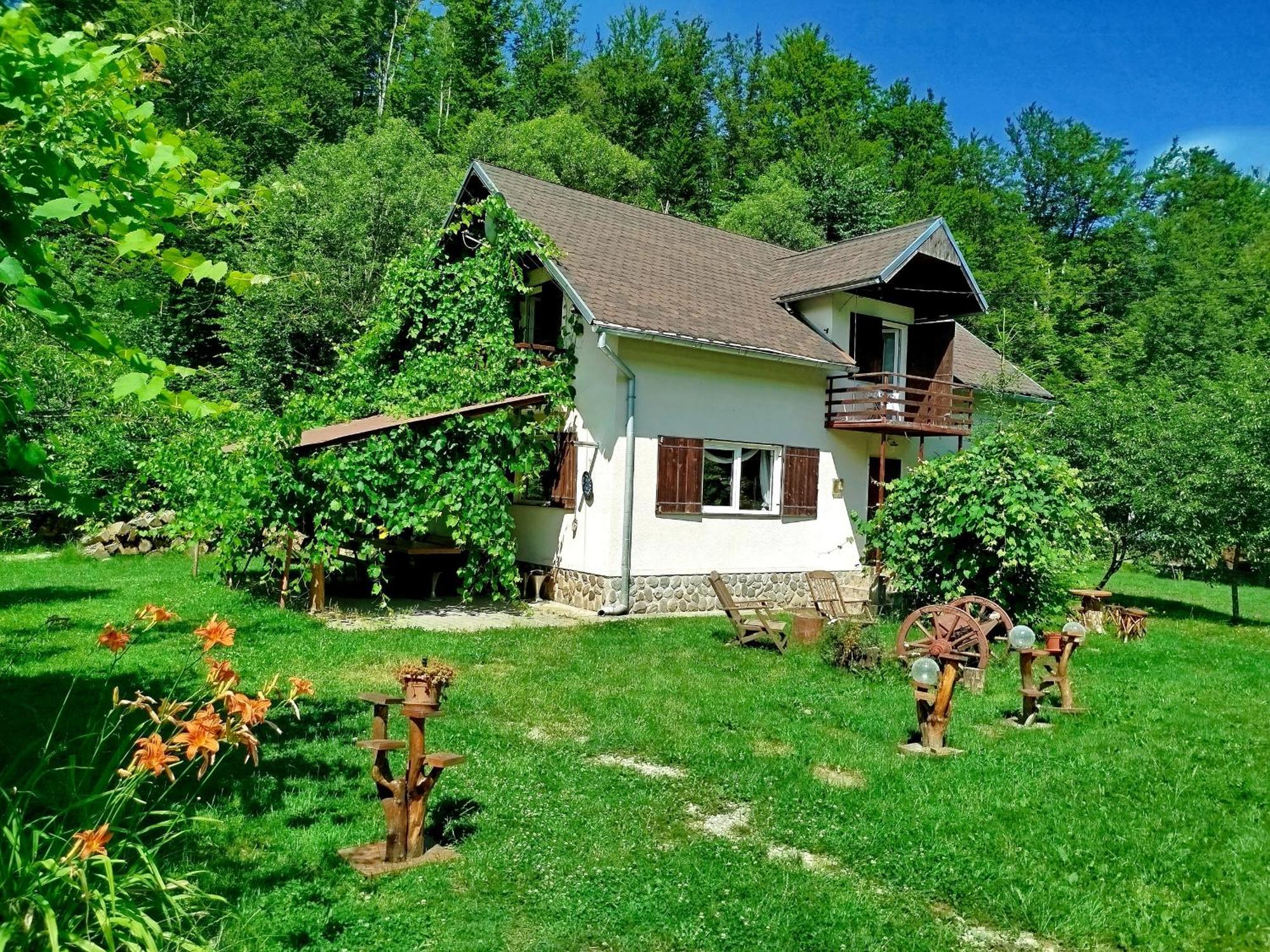 Complex Adela Transfagarasan Villa Cîrţişoara Buitenkant foto