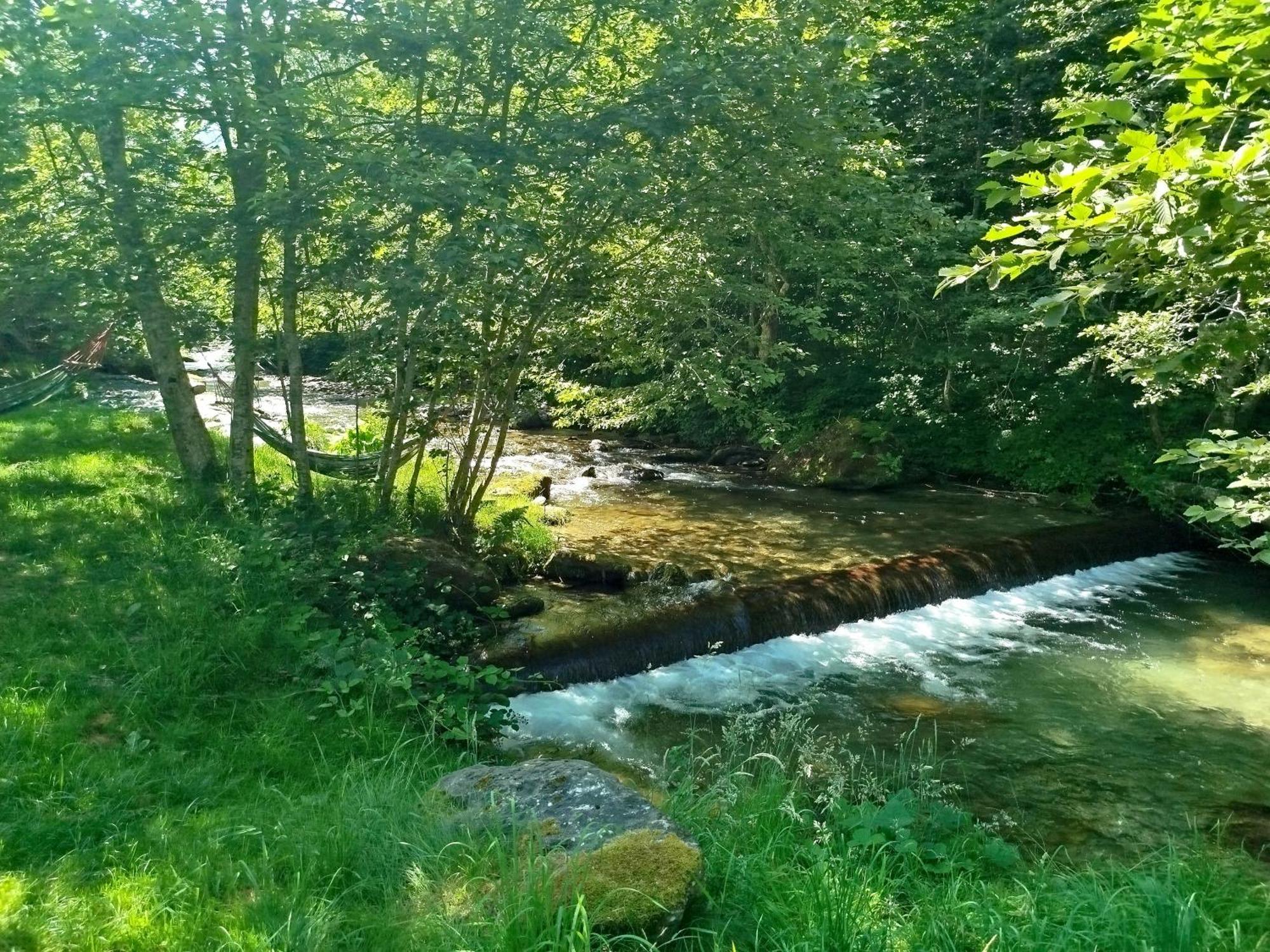 Complex Adela Transfagarasan Villa Cîrţişoara Buitenkant foto