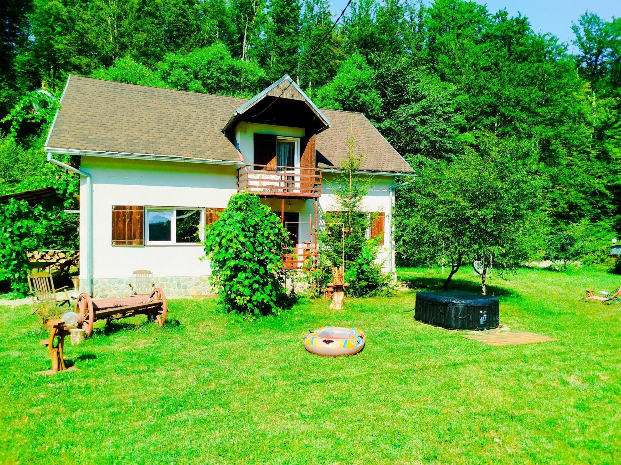 Complex Adela Transfagarasan Villa Cîrţişoara Buitenkant foto